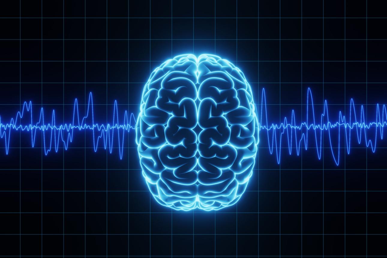 THE BRAIN SONG