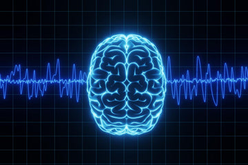 THE BRAIN SONG