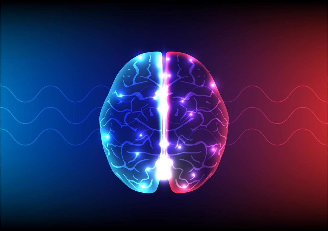 THE BRAIN SONG